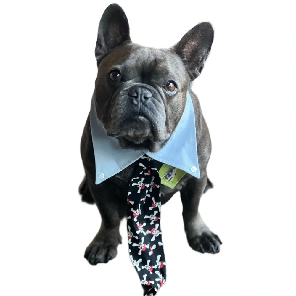PETEYDESIGNS Dog pirate print Tie/NWT - Picture 5 of 10